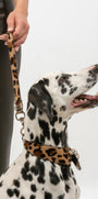 Nina Ponyhair Leopard SHE.LYNDA