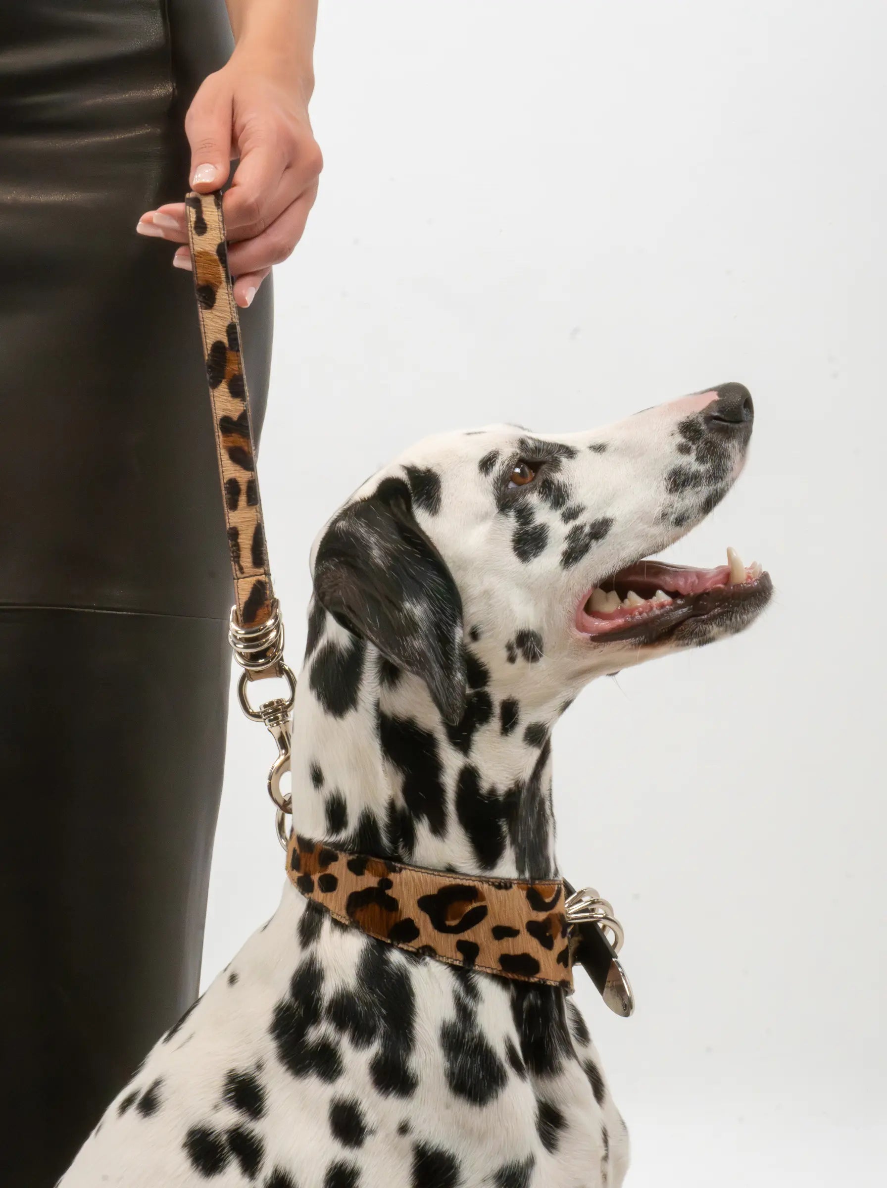 Nina Ponyhair Leopard SHE.LYNDA