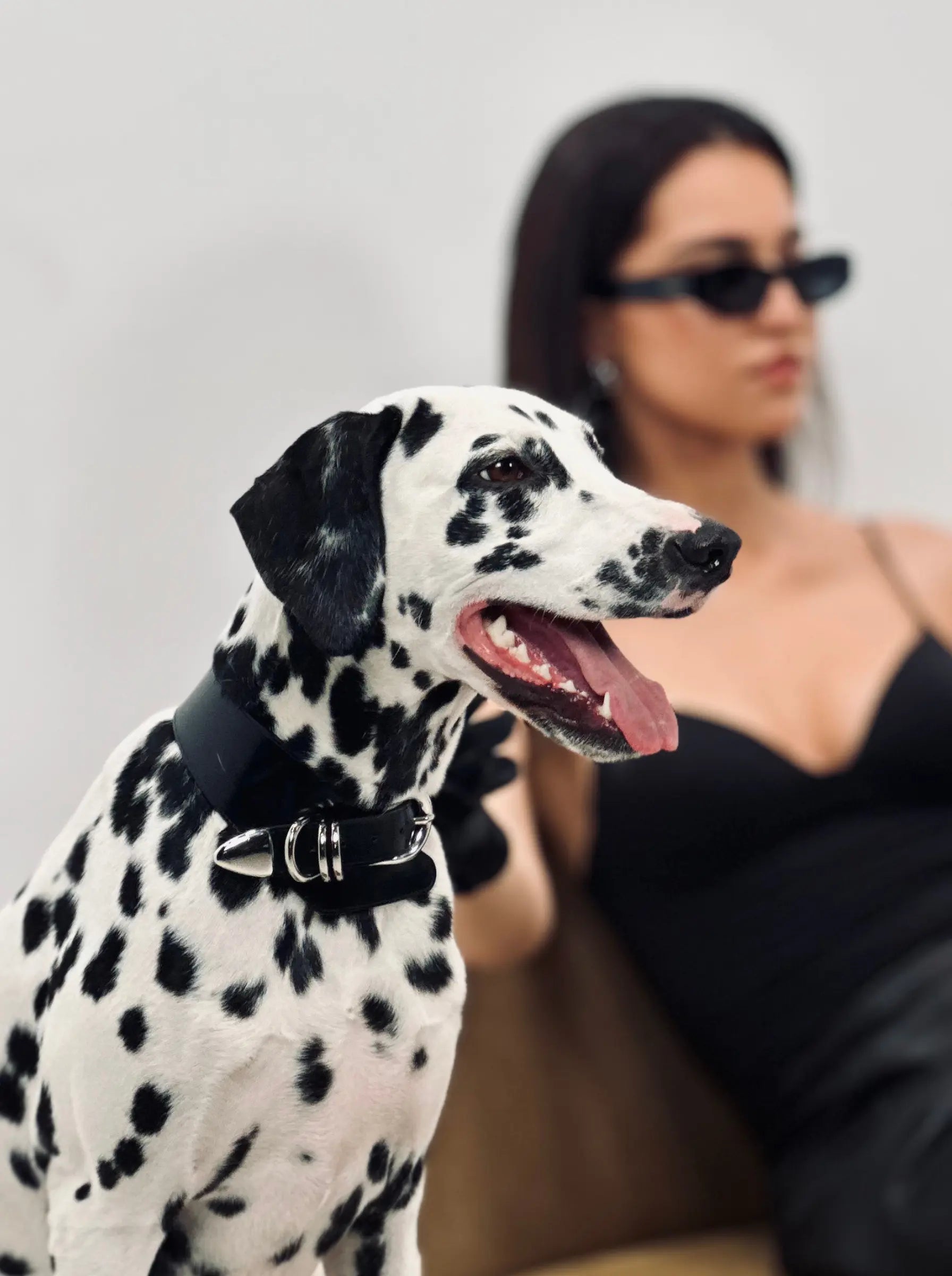 Sasha Collar SHE.LYNDA