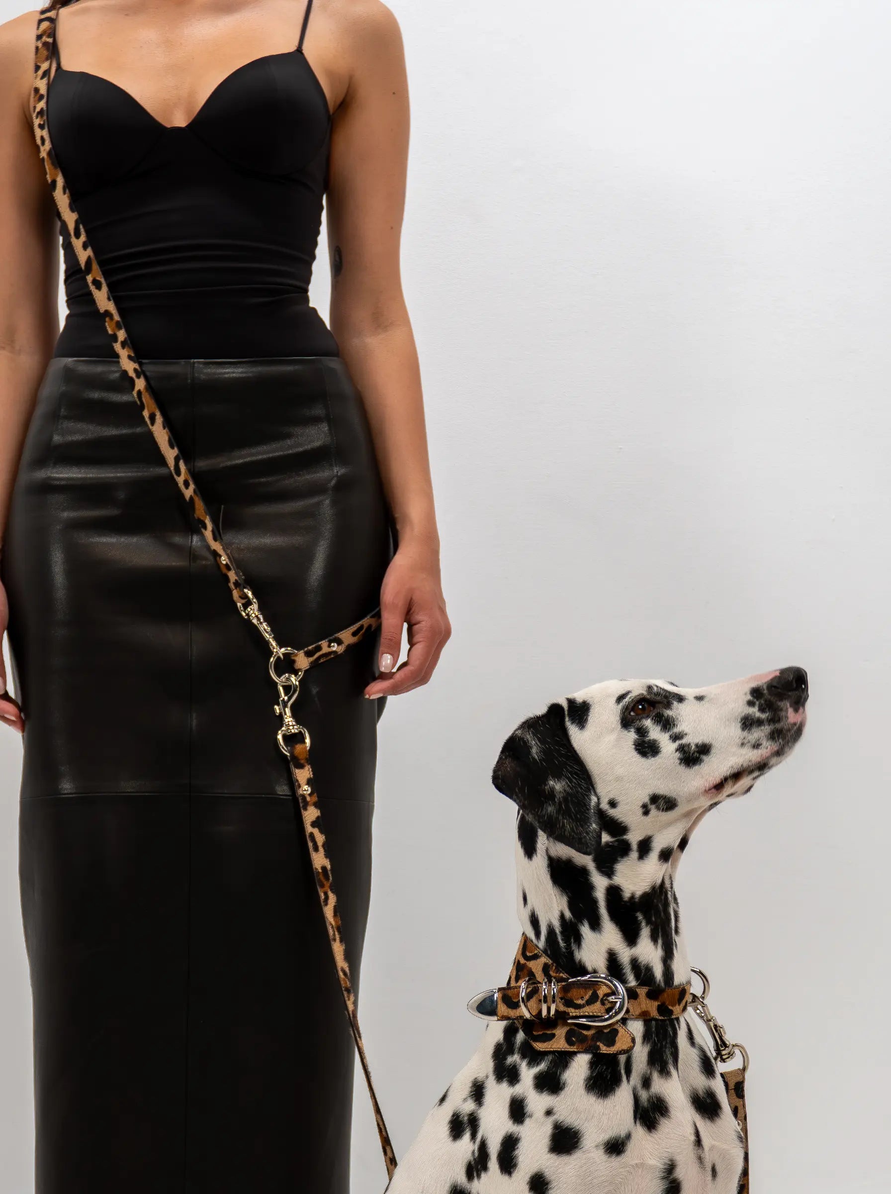Pet Dog Ponyhair Leopard Leather Leash