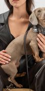 Sasha Collar SHE.LYNDA