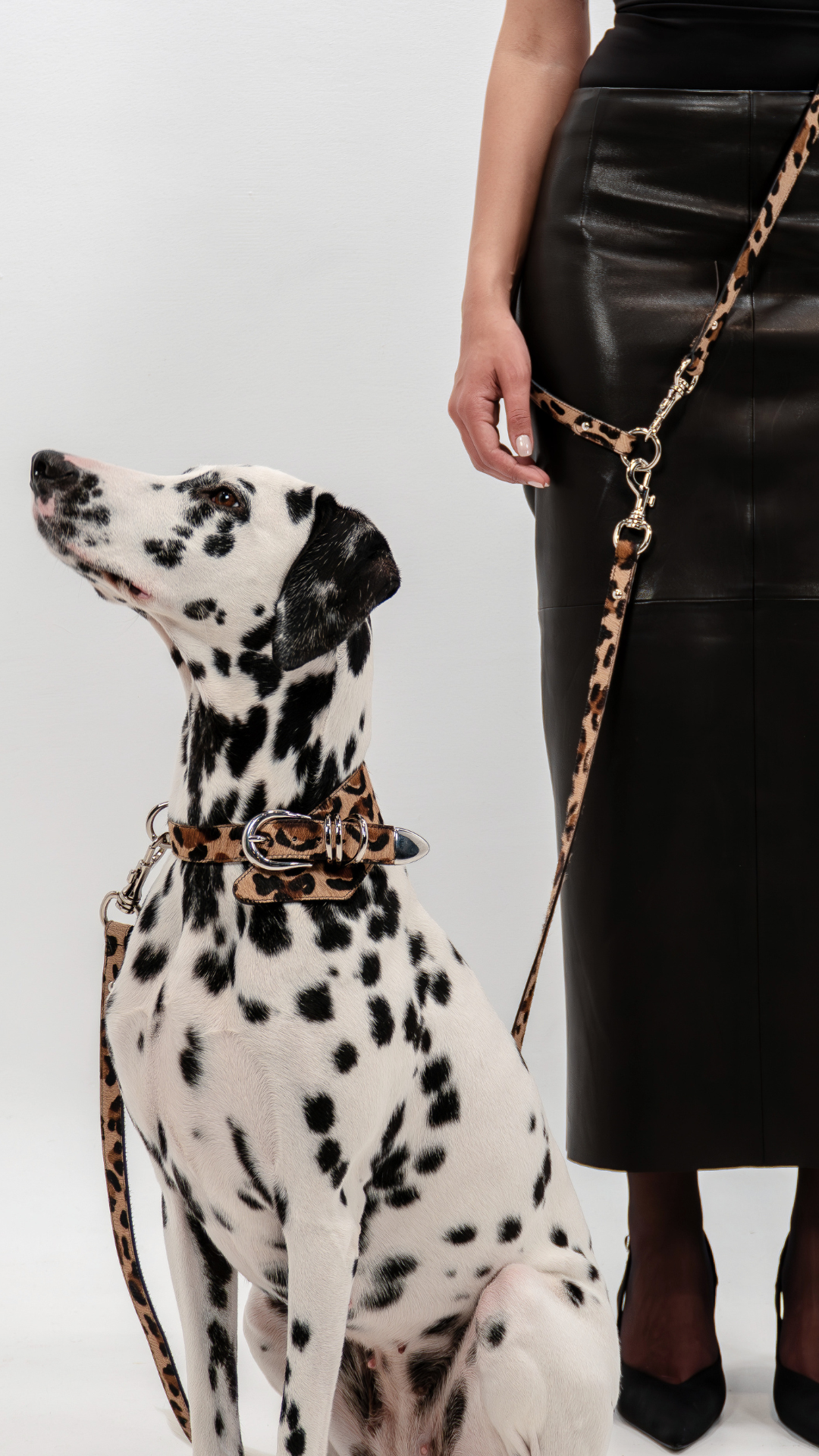 Leather Leashes